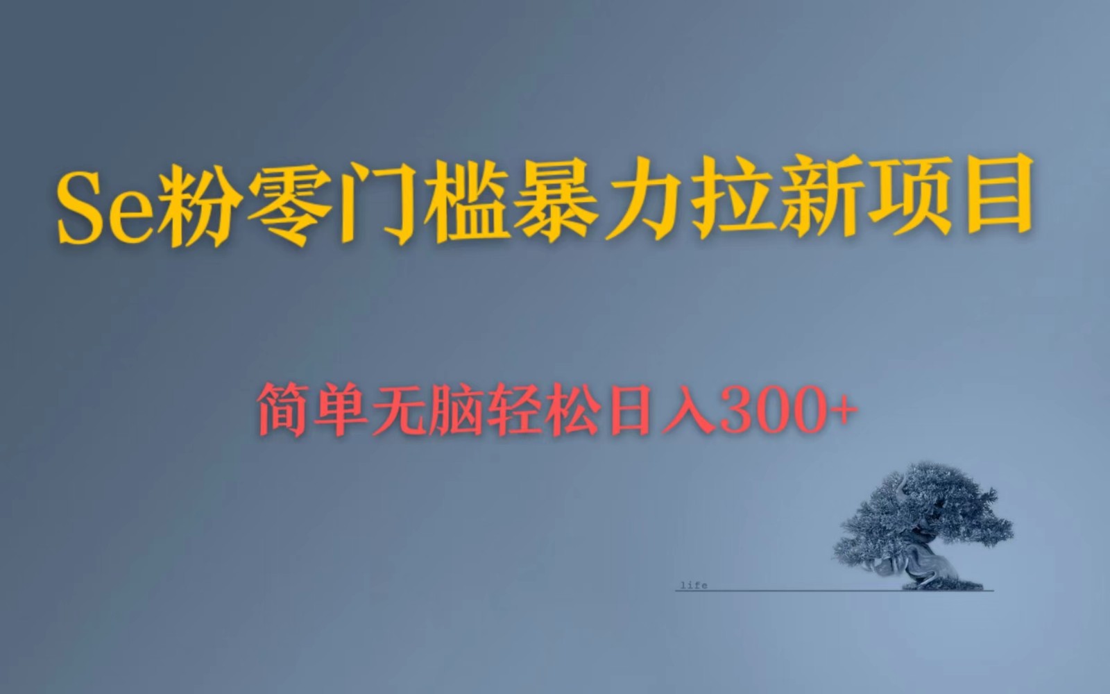 Se粉暴力拉新 小白也可日入300+ 简单无脑上手 Se粉暴力拉新 小白也可日入300+ 简单无脑上手