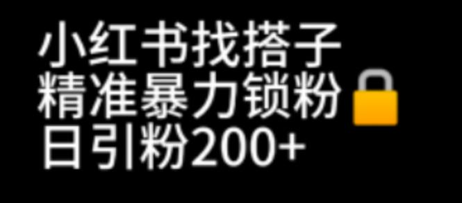 小红书找搭子暴力精准锁粉+引流日引200+精准粉 小红书找搭子暴力精准锁粉+引流日引200+精准粉