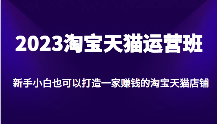 2023淘宝天猫运营班,新手小白也可以打造一家赚钱的淘宝天猫店铺 2023淘宝天猫运营班,新手小白也可以打造一家赚钱的淘宝天猫店铺