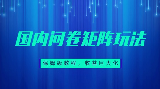 保姆级教程,国内问卷矩阵玩法,轻松赚收益 保姆级教程,国内问卷矩阵玩法,轻松赚收益