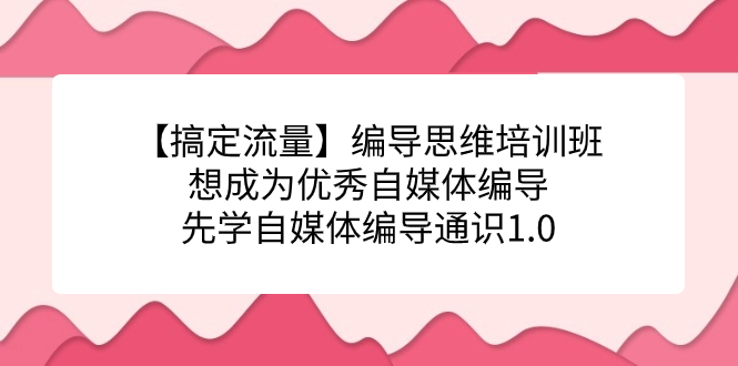 【搞定流量】编导思维培训班,想成为优秀自媒体编导先学自媒体编导通识1.0 【搞定流量】编导思维培训班,想成为优秀自媒体编导先学自媒体编导通识1.0
