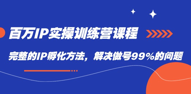百万IP实战训练营课程,完整的IP孵化方法,解决做号99%的问题 百万IP实战训练营课程,完整的IP孵化方法,解决做号99%的问题