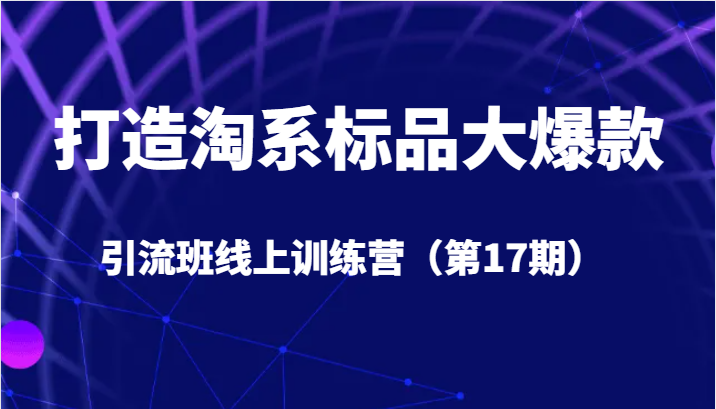 打造淘系标品大爆款引流班线上训练营(第17期)5天直播授课+1个月答疑 打造淘系标品大爆款引流班线上训练营(第17期)5天直播授课+1个月答疑