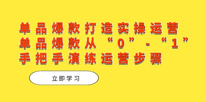 单品爆款打造实操运营,单品爆款从“0”-“1”手把手演练运营步骤 单品爆款打造实操运营,单品爆款从“0”-“1”手把手演练运营步骤