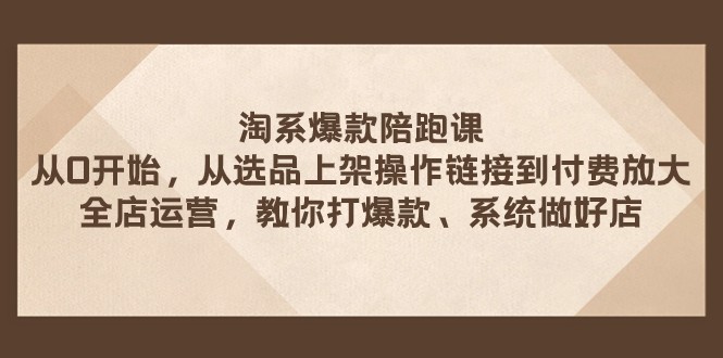 淘系爆款陪跑课 从选品上架操作链接到付费放大 全店运营 打爆款 系统做好店 淘系爆款陪跑课 从选品上架操作链接到付费放大 全店运营 打爆款 系统做好店