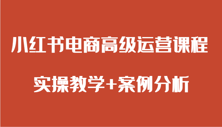 小红书电商高级运营课程 实操教学+案例分析 小红书电商高级运营课程 实操教学+案例分析