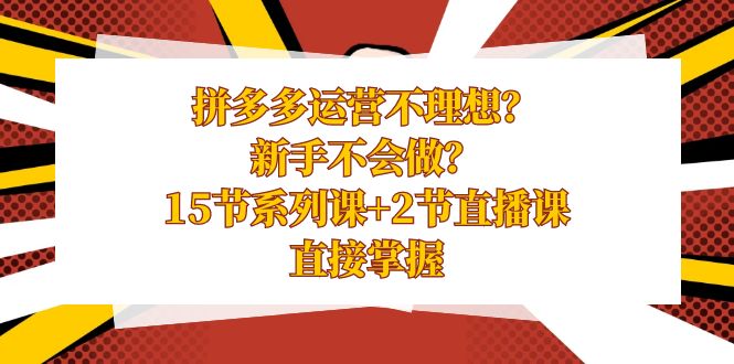 拼多多运营不理想?新手不会做?15节系列课+2节直播课学会直接掌握 拼多多运营不理想?新手不会做?15节系列课+2节直播课学会直接掌握