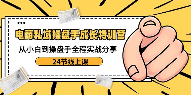 电商私域操盘手成长特训营:从小白到操盘手全程实战分享-24节线上课