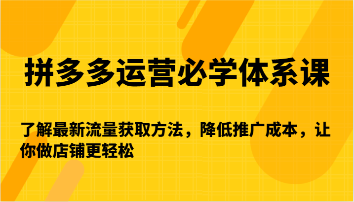 拼多多运营必学体系课-了解最新流量获取方法,降低推广成本,让你做店铺更轻松