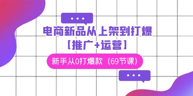 电商新品从上架到打爆【推广+运营】,新手从0打爆款(69节课)
