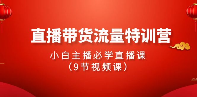 2024直播带货流量特训营,小白主播必学直播课(9节视频课)