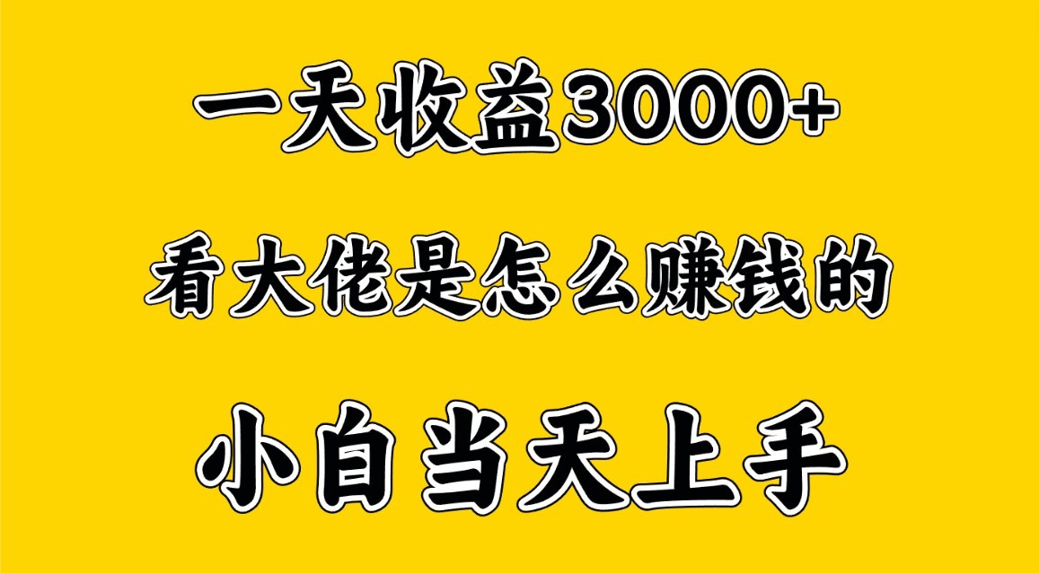 一天赚3000多,大佬是这样赚到钱的,小白当天上手,穷人翻身项目