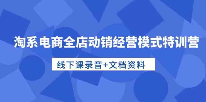 淘系电商全店动销经营模式特训营,线下课录音+文档资料