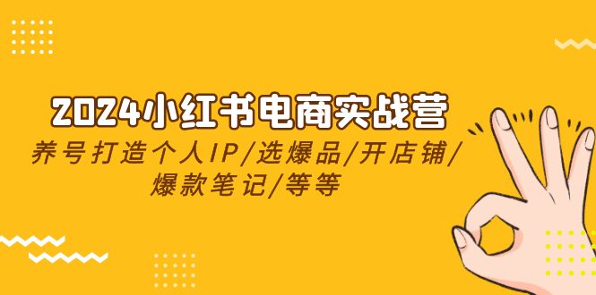 2024小红书电商实战营,养号打造IP/选爆品/开店铺/爆款笔记/等等(24节)