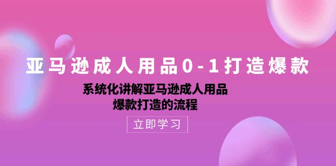 亚马逊成人用品0-1打造爆款:系统化讲解亚马逊成人用品爆款打造的流程