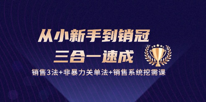从小新手到销冠三合一速成:销售3法+非暴力关单法+销售系统挖需课 (27节)