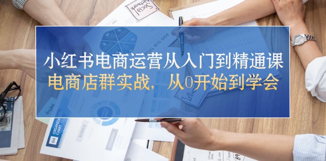 小红书电商运营从入门到精通课,电商店群实战,从0开始到学会