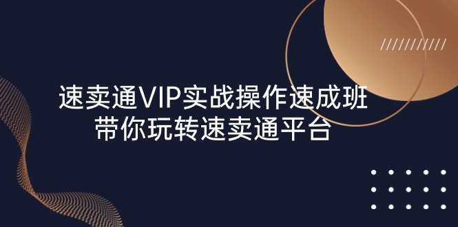 速卖通VIP实战操作速成班,带你玩转速卖通平台