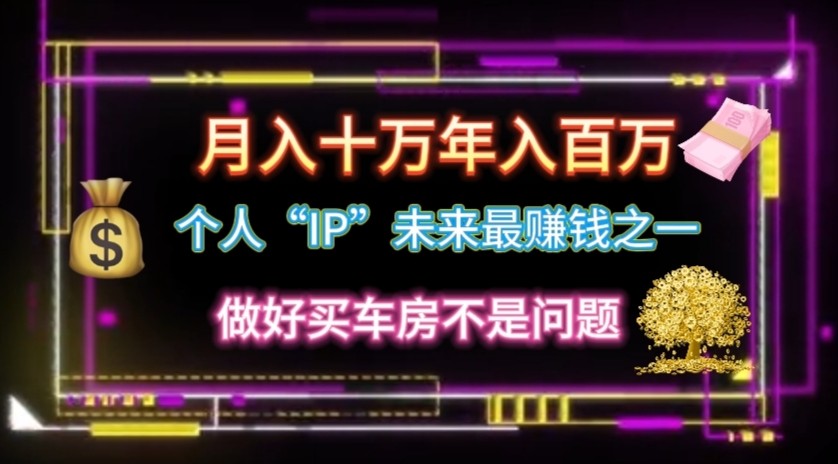 个人“ip”月入10w,年入100w