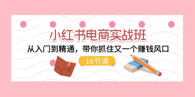 小红书电商实战班,从入门到精通,带你抓住又一个赚钱风口(17节)