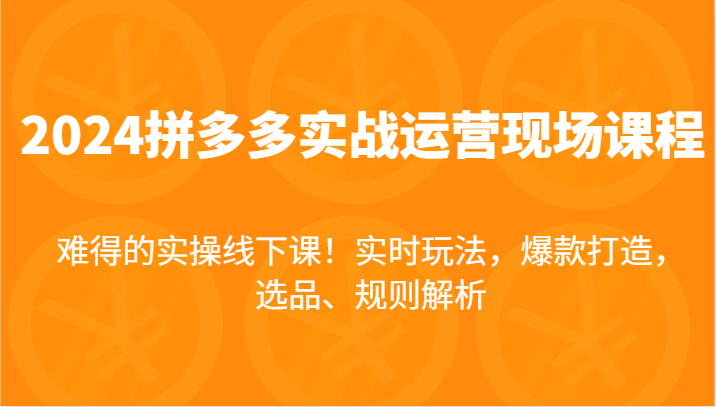 2024拼多多实战运营现场课,实时玩法,爆款打造,选品、规则解析,难得的实操线下课!