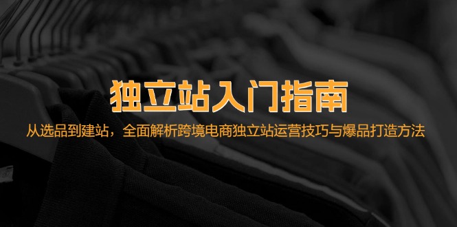 独立站入门指南:从选品到建站,全面解析跨境电商独立站运营技巧与爆品打造方法