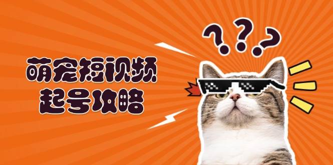萌宠短视频起号攻略:定位搭建推流全解析,助力新手轻松打造爆款