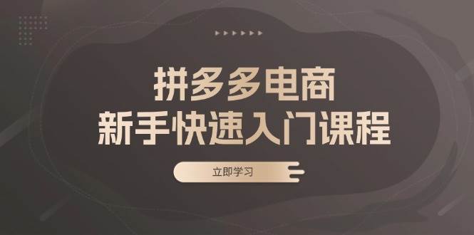 拼多多电商新手快速入门课程:涵盖基础、实战与选款,助力小白轻松上手