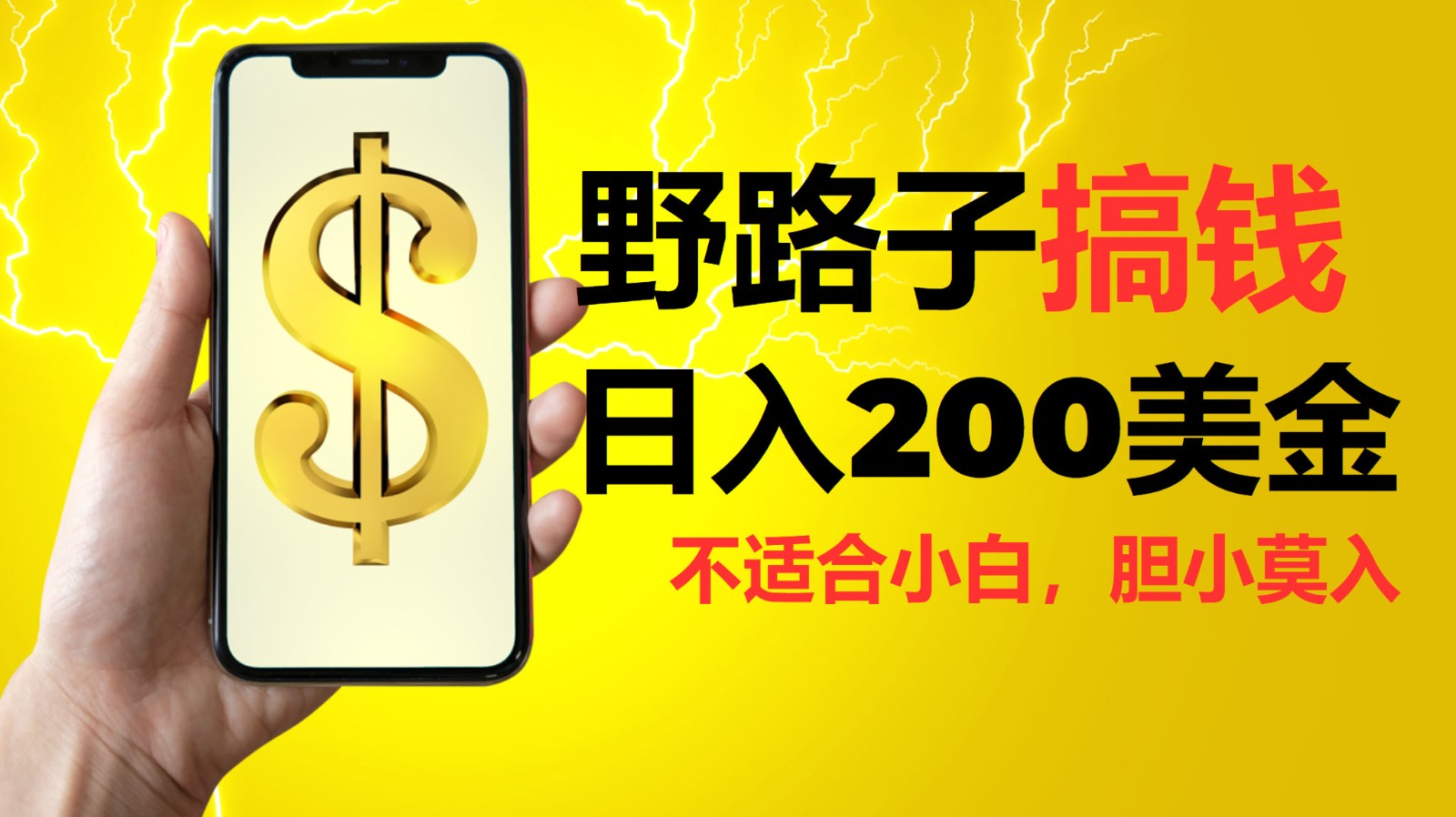 挂机野路子搞钱,日入200美金,路子很野,小白莫入