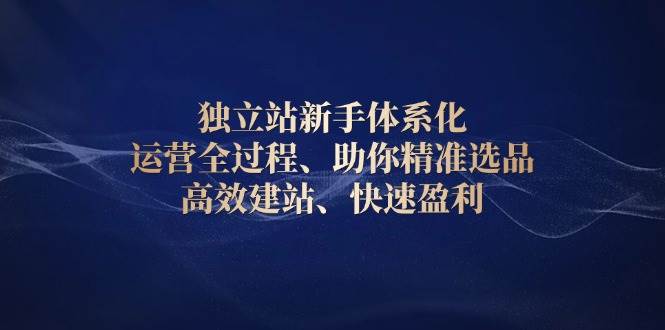 独立站新手体系化 运营全过程,助你精准选品、高效建站、快速盈利