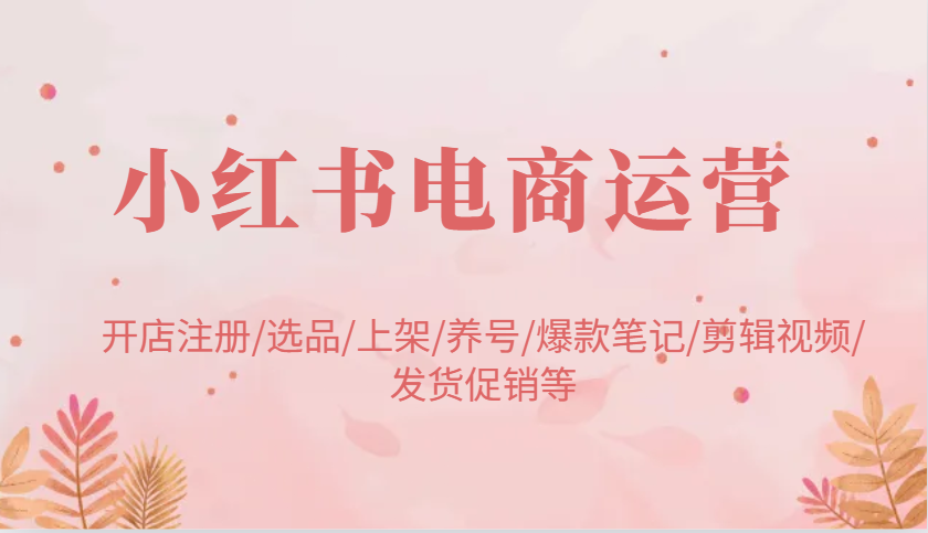 小红书电商运营:开店注册/选品/上架/养号/爆款笔记/剪辑视频/发货促销等