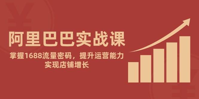 阿里巴巴实战课:掌握1688流量密码,提升运营能力,实现店铺增长