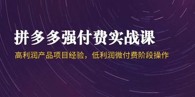 拼多多强付费实战课-44期,高利润产品项目经验,低利润微付费阶段操作