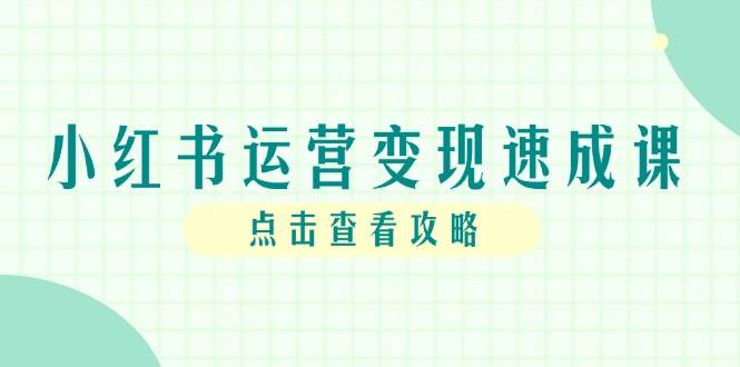 小红书运营变现速成课,账号搭建到暴力起号,个人IP全流程指南