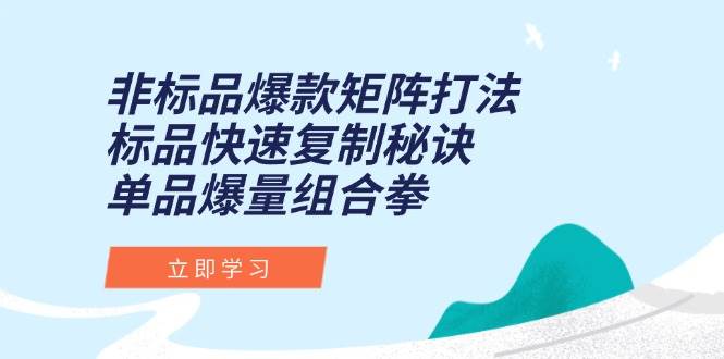 非标品爆款矩阵打法,标品快速复制秘诀,单品爆量组合拳