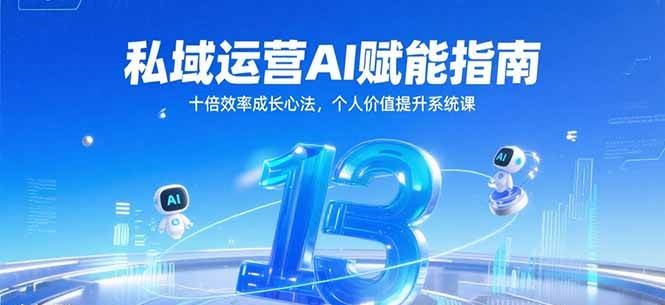 私域运营AI赋能指南,十倍效率成长心法,个人价值提升系统课