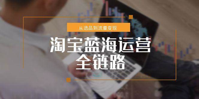 淘宝蓝海运营全链路,从选品到流量变现,小类目突围完整方案