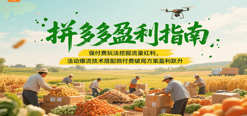 拼多多盈利指南:强付费玩法挖掘流量红利,活动爆流技术搭配微付费方案实现盈利跃升