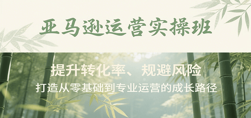 亚马逊运营实操班，提升转化率、规避风险，打造从零基础到专业运营的成长路径