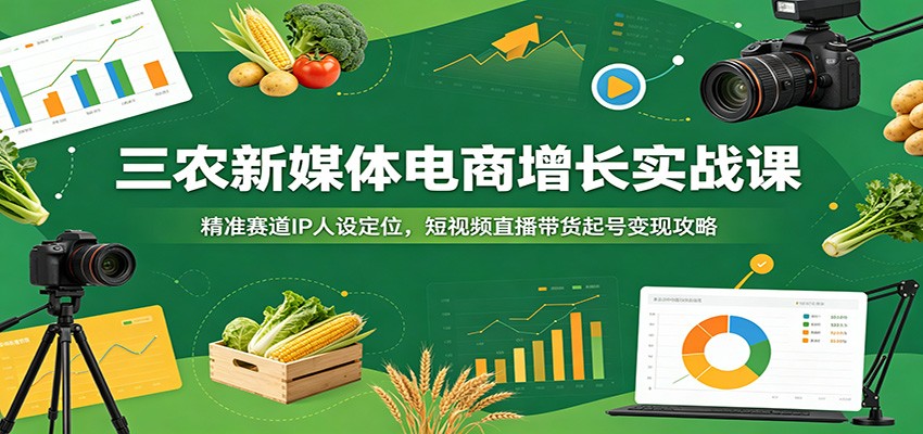 三农新媒体电商增长实战课:精准赛道IP人设定位,短视频直播带货起号变现攻略